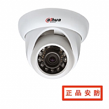 高清(100万像素)圈灯海螺型网络摄像机 DH-IPC-HDW1100(5)S系列